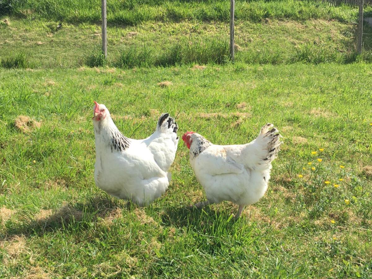 לינה וארוחת בוקר Bardou La Ferme Buissonniere מראה חיצוני תמונה